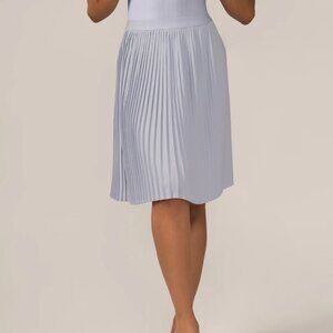 Knee-Length Pleated Skirt In Pastel Blue